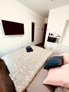 1 dormitorio con 1 cama y TV de pantalla plana en Villa Vilma en Sigulda