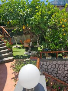 A garden outside LA Giulia