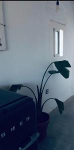 Fotografie z fotogalerie ubytování Apartments San Ignacio de Loyola v destinaci Manresa