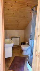 a bathroom with a toilet and a sink and a tub at Agroturystyka Kasprzykówka 