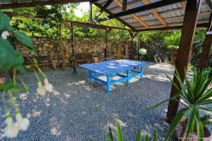 a blue ping pong table in a garden at GARDEN IN GONIO MATATA MOTSIKULIS 58 in Batumi
