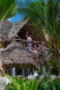 Zahrada ubytování Beachfront Villa Ladha ya Zanzibar