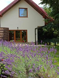 a field of purple flowers in front of a house at Domek całoroczny Pod Lipą u GABI in Grywałd