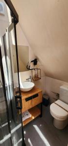 a bathroom with a sink and a toilet at LONGOSPHERE GLAMPING in Kırklareli