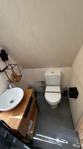 a small bathroom with a toilet and a sink at LONGOSPHERE GLAMPING in Kırklareli