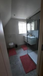 bagno con lavandino, servizi igienici e specchio di Vakantiehuis Rosselaer a Balen