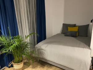 a bedroom with a bed with blue curtains and plants at Apartamenty Silver Place in Szczecin