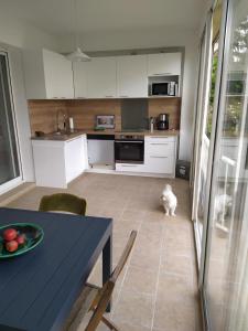 eine Küche mit einem Tisch und einem Hund in einem Zimmer in der Unterkunft Maison à la plage.7 couchages in Borgo