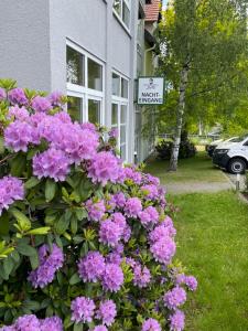 Ein Garten an der Unterkunft Hotel Marschall Duroc