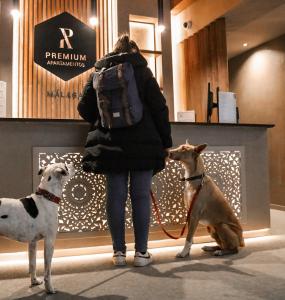Domácí mazlíčci ubytovaní s hosty v ubytování Apartamentos Málaga Premium - Calle Granada