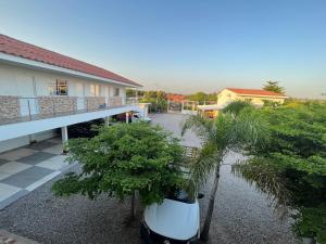 a palm tree in a pot next to a house at HOTEL BOSCONIA IMPERIAL in Bosconia