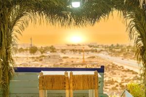 a bench sitting under a palm tree with a view of the desert at The Rina Hostel in Agadir