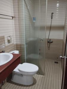 uma casa de banho com um WC, um chuveiro e um lavatório. em OYO NGUYỄN TRUNG HOTEL em Vung Tau