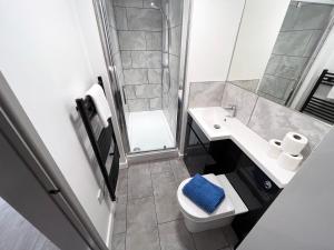 W łazience znajduje się umywalka, toaleta i prysznic. w obiekcie BL 1 Bedroom Apartment, Town Centre, Secure gated parking option, Modern, fresh and spacious living, Netflix ready TV, Wifi w mieście Wellingborough