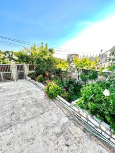 a garden with flowers and plants in a yard at J&B Rooms Dhermi in Dhërmi