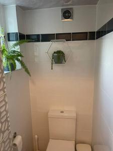 biała łazienka z toaletą i rośliną w obiekcie West London stunning garden flat - period features w Londynie
