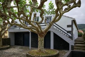 una casa bianca con un albero davanti di Materramenta a Biscoitos