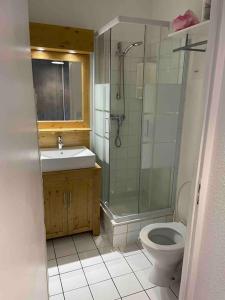 a bathroom with a shower and a toilet and a sink at App 4/6 pers plein centre des 2alpes 100 m pistes in Les Deux Alpes