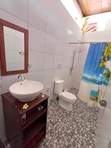 a bathroom with a sink and a toilet at Balinda Rooms & Villa in Lovina