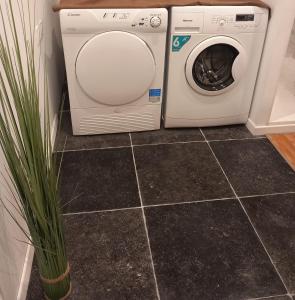 een wasmachine en droger in een badkamer met een plant bij Les gîtes Ambleteuse in Ambleteuse