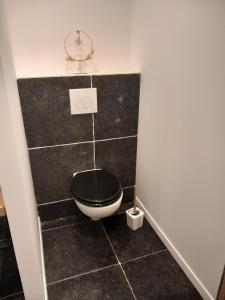 uma casa de banho com um WC preto e uma parede de azulejos pretos em Les gîtes Ambleteuse em Ambleteuse