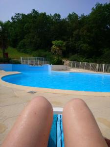 Basen w obiekcie Chalet 17 tournesol Mauroux lub w pobliżu