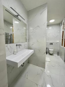 un bagno bianco con lavandino e WC di Masná 20C- Old Town Residence a Praga