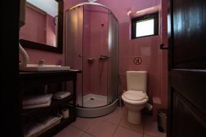 a pink bathroom with a toilet and a shower at Bucovina Lodge Pension in Vama +183 photos