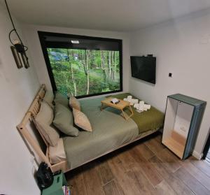 a bedroom with a bed and a large window at Tiny House 4 Two in Văliug