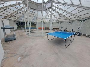 Stolní tenis v ubytování Hotel y Cabañas Palomar - Caja los Andes nebo okolí