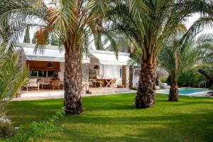 dos palmeras frente a una casa con piscina en Villa Bonita en Alicante., en Elche