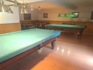 Biliár nebo kulečník v ubytování Hotel y Cabañas Palomar - Caja los Andes