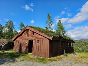 an old barn with a grass roof at Nice Sirdal Bungalow in Ådneram 