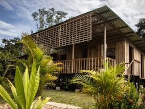 ein kleines Holzhaus mit einem Haufen Pflanzen in der Unterkunft El Nido in La Macarena