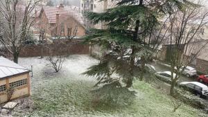 メゾン・アルフォールにある2pièces meublé Proche Paris et métroの雪に覆われた庭