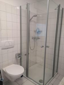 a bathroom with a shower and a toilet at Helene in Bad Säckingen