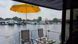 Výhled na řeku, která protéká v blízkosti ubytování na lodi