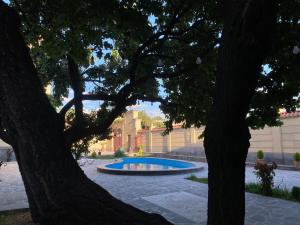 Bassein majutusasutuses WaterFall Hotel või selle lähedal