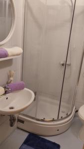 ein Bad mit einer Dusche und einem Waschbecken in der Unterkunft Apartment Josipa in Dubrovnik
