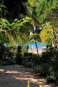 a park with a bench and palm trees on the beach at Villa Ilo Komba in Nosy Komba