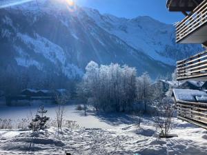 a winter view of a mountain with snow on the ground at Chamonix Praz Vue Mt Blanc Piscine in Chamonix-Mont-Blanc