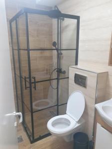 a bathroom with a toilet with a glass shower stall at SANI in Vrnjci