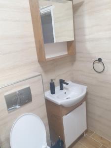a bathroom with a sink and a mirror and a toilet at SANI in Vrnjci