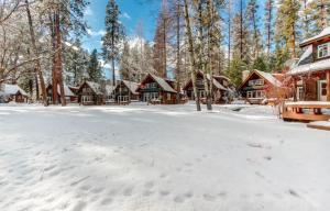 a snow covered yard in front of a log cabin at Metolius Cabin 4 in Camp Sherman