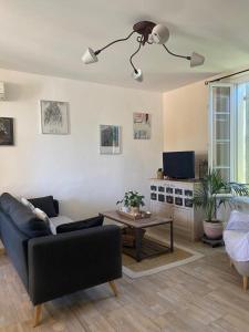 TV a/nebo společenská místnost v ubytování Appartement avec jardin en ville