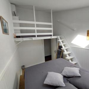 a bedroom with a bunk bed with a ladder at La Cas'Aline in La Saline les Bains