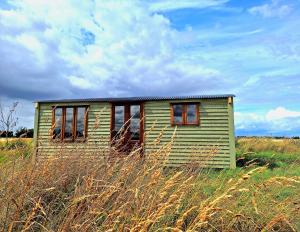 a small green house in a field of tall grass at Luxury Farm Breaks in Wisbech +7 photos
