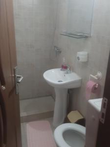 a small bathroom with a sink and a toilet at Casa Ioana in Căpăţîneni-Pămînteni