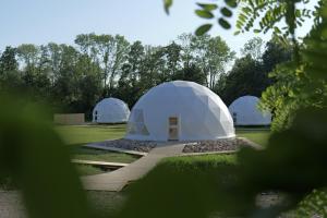 two domes in a field with trees in the background at Glamping Resort in Dolný Kamenec