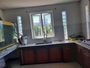 eine Küche mit einem Waschbecken und zwei Fenstern in der Unterkunft NR appartments in Curepipe
